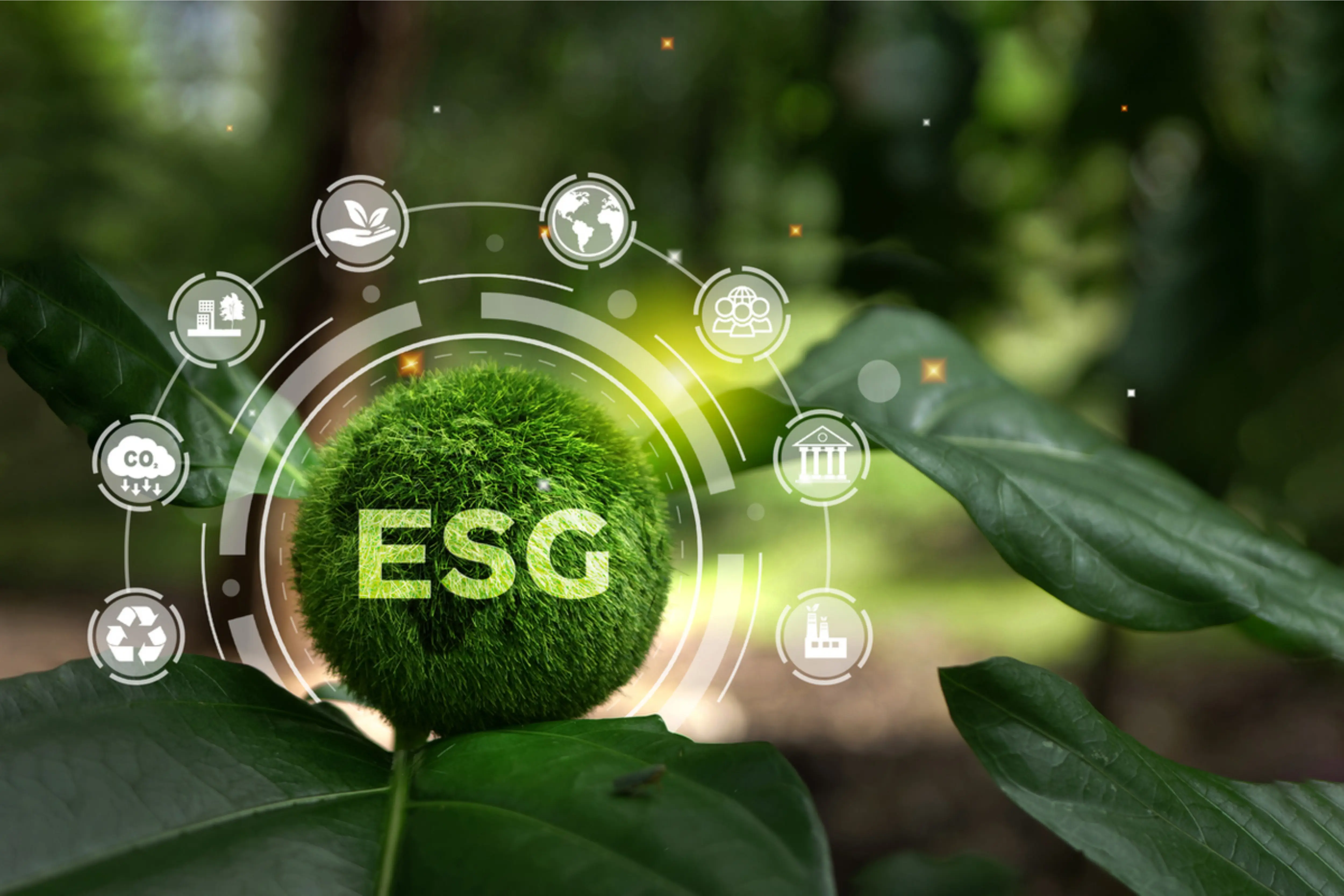 Sustainability Hero